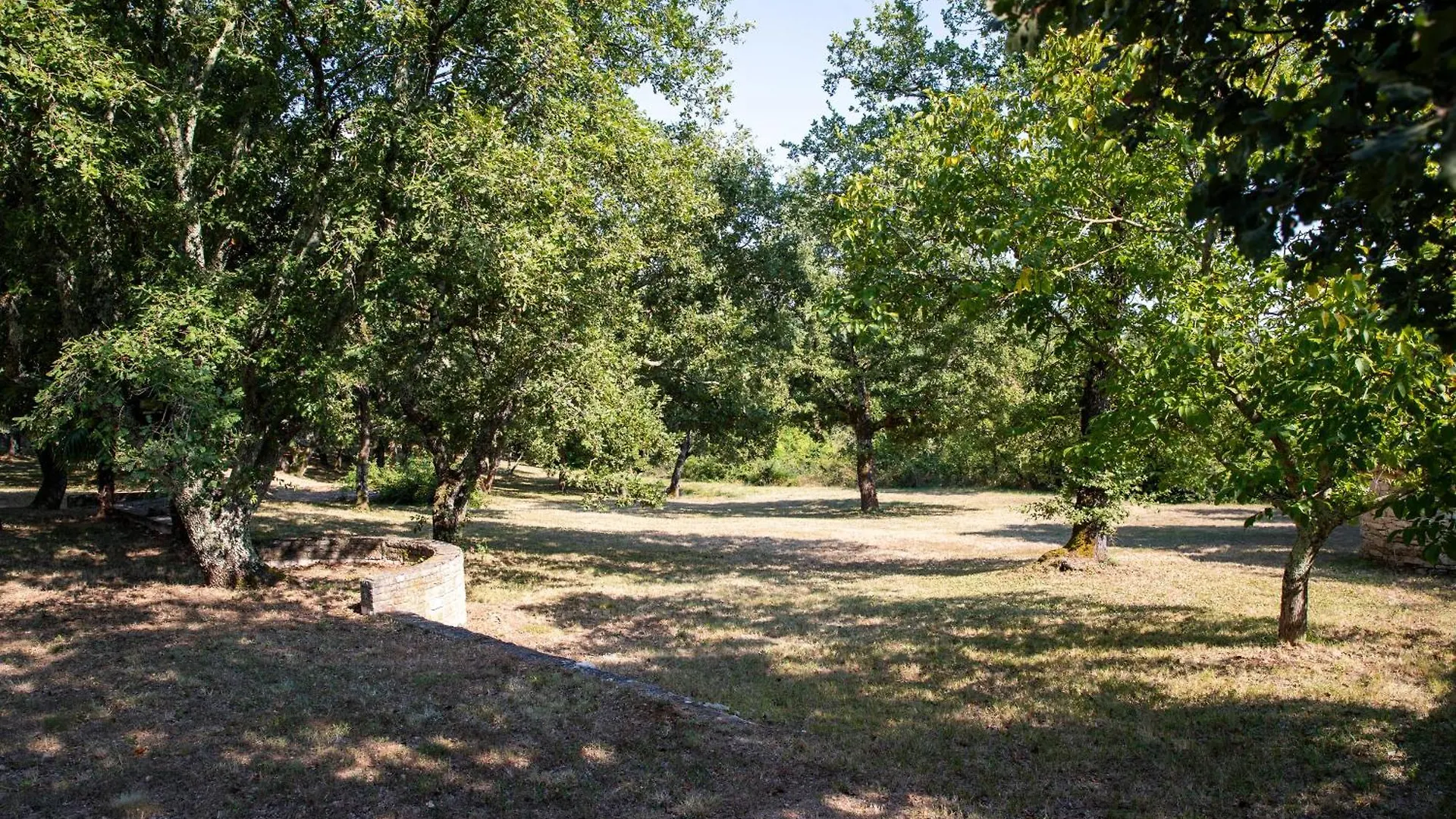 Apartman Jala Medaki